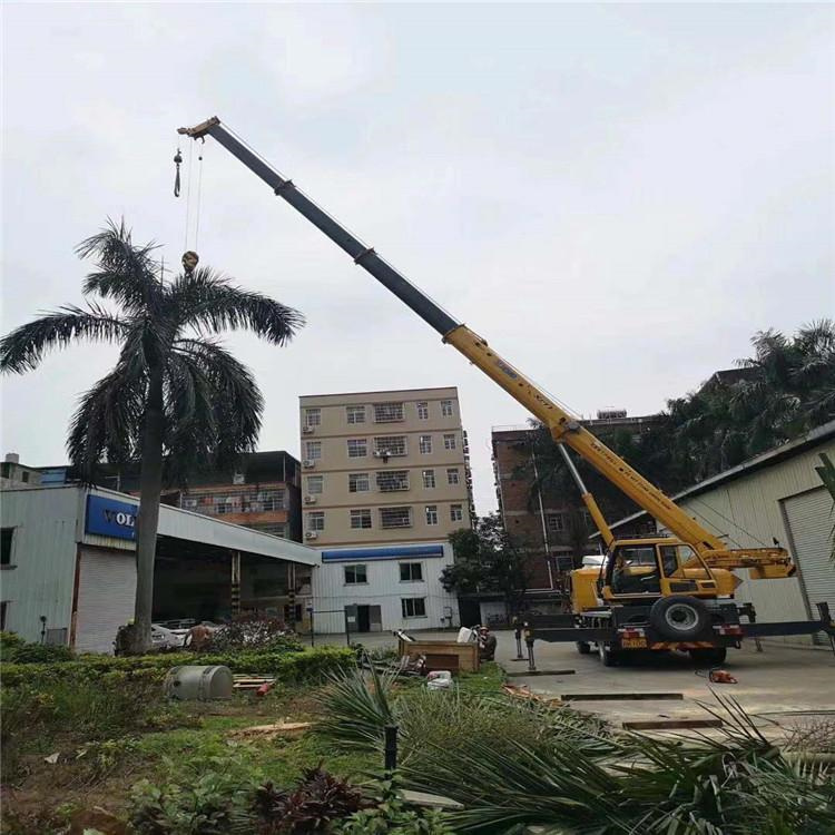 德格汽车吊出租多少钱？全面解析与市场行情